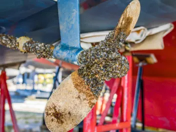 A boat propeller with zebra mussels on it