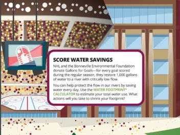 An Illustration of a hockey stadium with a box saying "Score Water Savings" in front of it.