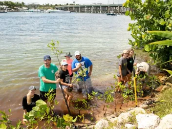 a group of young adults plants mangroves for shoreline conservation