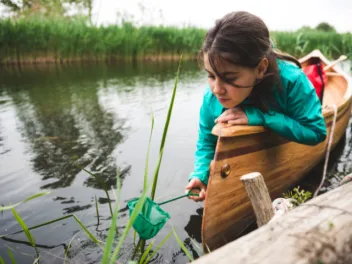A young girl leans out of a canoe while using a net to scoop something out of a pond