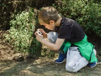a boy uses a camera to photograph a turtle moving on the ground