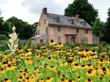 Bartrams Garden Historic House with a garden of yellow flowers in the front of it.