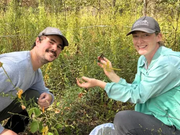 a woman holds a Monarch butterfly that has been tagged with a fellow volunteer