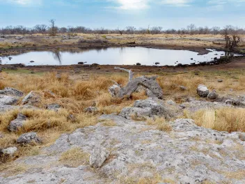 Lake drought