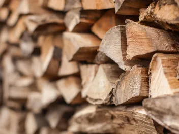 Stack of firewood