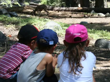 Children and Deer