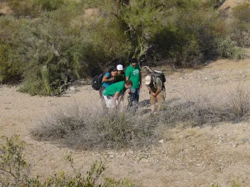 Citizen scientists at Saguaro National Park