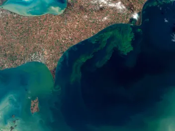 Algal bloom in Lake Erie