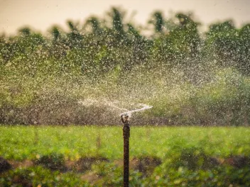 Water sprinkler system