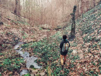 Hiker in woods