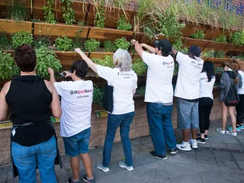 People working at the sustainable garden at the Arizona Diamondbacks stadium