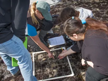 Monka Krach shows students from June Jordan High School how to use a quadrat