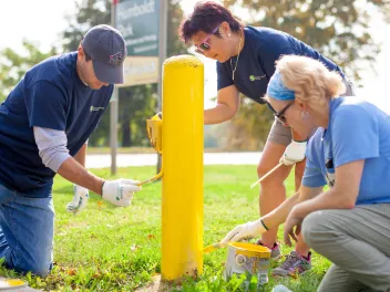 NPLD Volunteers painting a post