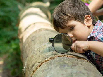 Kid observing log