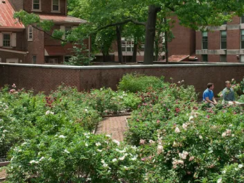 photo of independence national historical park rose garden