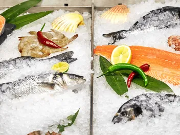 Photo of various seafoods on ice in a supermarket fridge