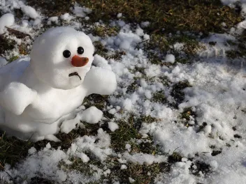 snow man melting in warm winter surrounded by patches of grass