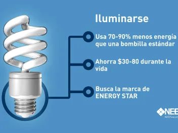 CFL Light Bulb Spanish