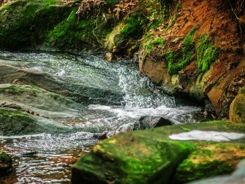 rocky stream